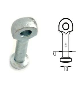 Eye Anchor - Pin Anchor Lifting System